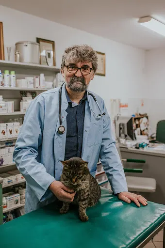 Kameleon-Wet. Gabinet weterynaryjny. Antoszewski J.